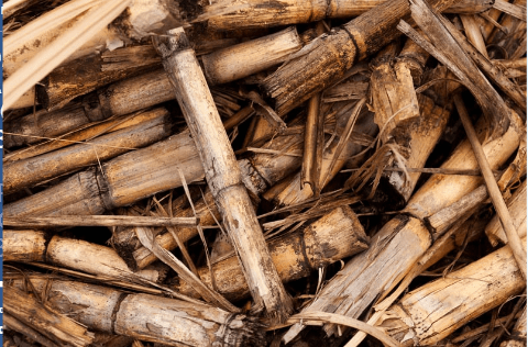 From biomass to energy and fuel (bioenergy and environment)